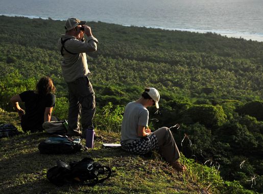 Save the fruit bats! First large-scale survey at Andersen sets baseline for  threatened species > Pacific Air Forces > Article Display