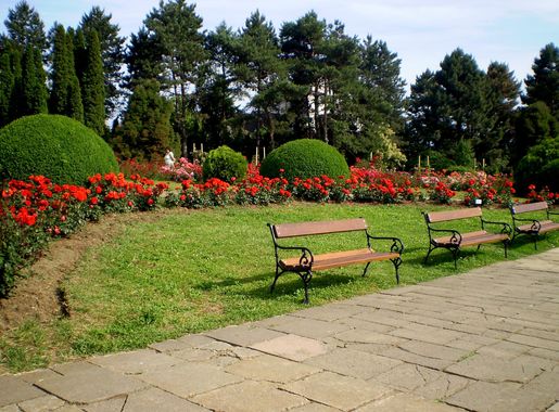 Fișier:Iaşi , Grădina Botanică 6.JPG - Wikipedia