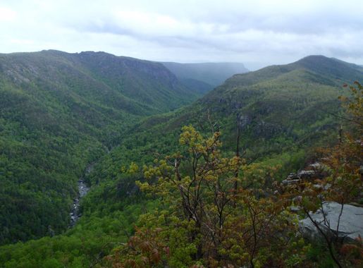 Linville Gorge hills landscape in North Carolina image - Free stock photo -  Public Domain photo - CC0 Images