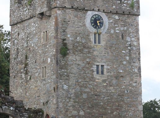 File:Castle Ward Castle, August 2009.JPG - Wikimedia Commons
