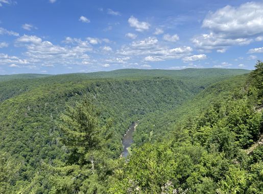 File:Pine Creek Gorge looking north from Leonard Harrison State Park July  2022.jpeg - Wikimedia Commons