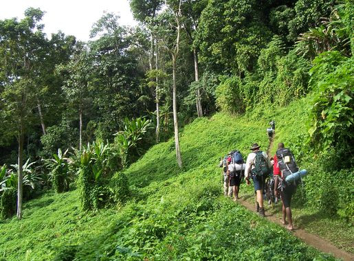 File:Kokoda track Papua New Guinea.JPG - Wikimedia Commons