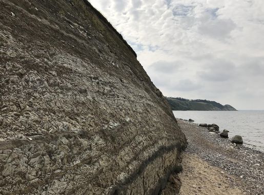 File:Mors Limford Hanklit Moler and prehistoric Ash layers (5).jpg -  Wikimedia Commons