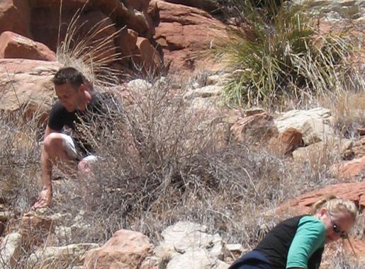 Commando quest: Conquer Caprock > Cannon Air Force Base > News