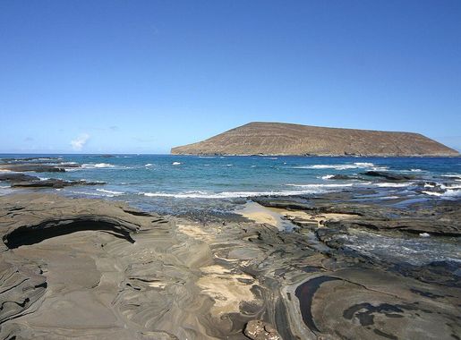 File:Lehua 1.jpg - Wikimedia Commons