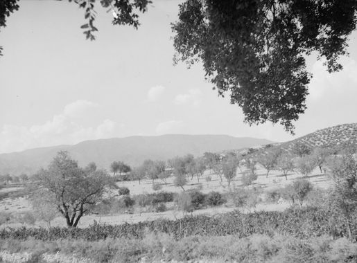 File:Cyprus. Mt. Olympus, on which Troodos, Platres are situated LOC  matpc.21889.jpg - Wikimedia Commons
