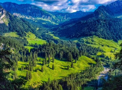 Images Gratuites : paysage, arbre, la nature, forêt, région sauvage,  Montagne, Prairie, colline, Lac, vallée, chaîne de montagnes, Pays, été,  courant, rural, scénique, agriculture, parc national, crête, L'Autriche, des  arbres, en plein