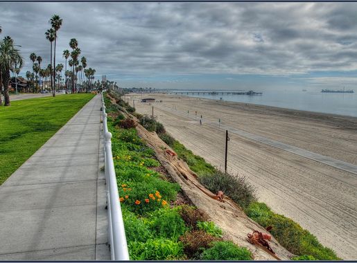 File:Belmont Fishing Pier (191455031).jpeg - Wikimedia Commons