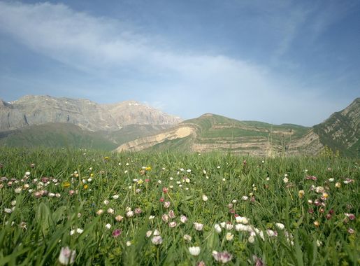 File:Mountains and flower meadow - Shahdag National Park.jpg - Wikimedia  Commons