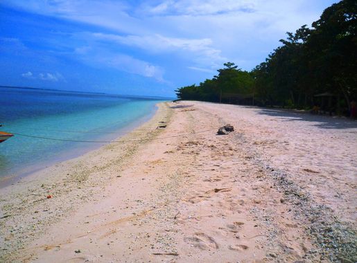 File:Isla Great Santa Cruz49.JPG - Wikimedia Commons
