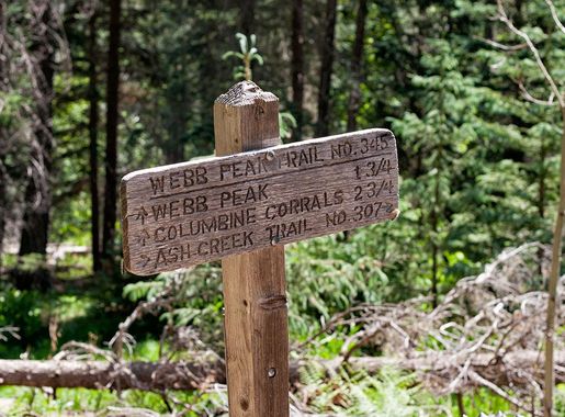 File:Mount Graham Ash Creek Trail Sign.jpg - Wikimedia Commons