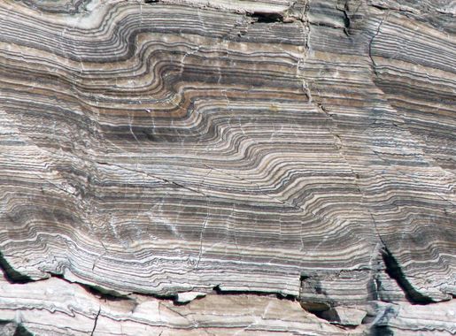 File:Folded gyprock.jpg - Wikimedia Commons