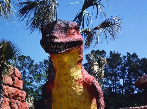 Bubbles 9,000-pound African elephant Myrtle | Free Photo - rawpixel