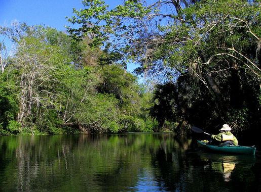 File:Paddling on the Hillsborough River.jpg - Wikimedia Commons