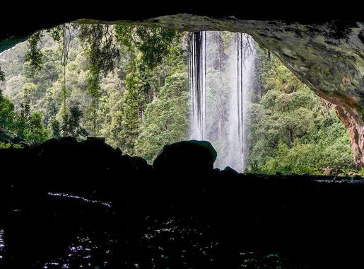 File:Mount Elgon National Park 3.jpg - Wikimedia Commons