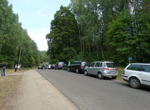 Vaizdas:Anykščiai, šilelis prie Puntuko.JPG – Vikipedija