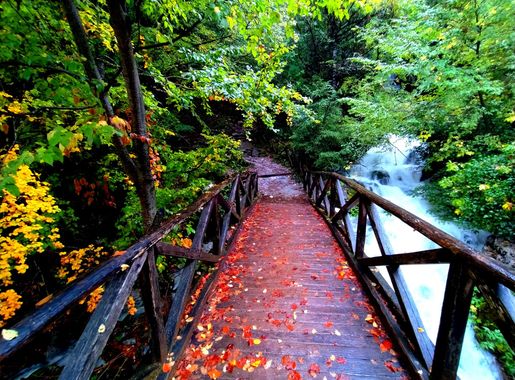 File:Prionia place - Mt. Olympus.jpg - Wikimedia Commons