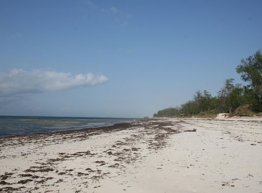 File:Watamu Beach, Kenya.JPG - Wikipedia