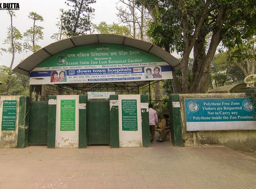 File:ASSAM STATE ZOO CUM BOTANICAL GARDEN, GUWAHATI! 02.jpg - Wikimedia  Commons