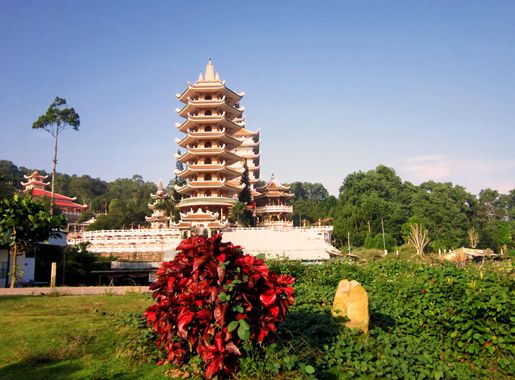 Thích Trí Tịnh – Wikipedia tiếng Việt