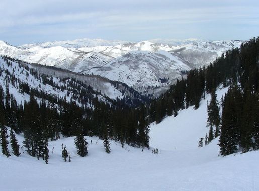 File:Solitude Mountain Resort Honeycomb Canyon.JPG - Wikimedia Commons