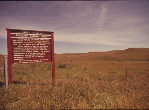 File:THE KONZA PRAIRIE NEAR MANHATTAN, KANSAS. IT REPRESENTS 1,000 ACRES OF  VIRGIN TALLGRASS PRAIRIE GIVEN TO KANSAS STATE... - NARA - 557188.jpg -  Wikimedia Commons