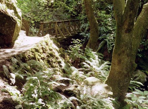 Free picture: steep, ravine, trail