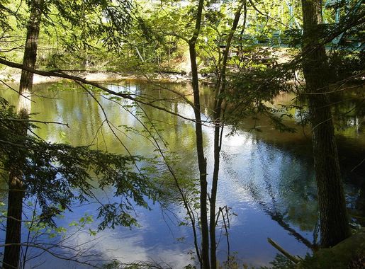 File:Along the Saco River in Buxton Maine.jpg - Wikimedia Commons
