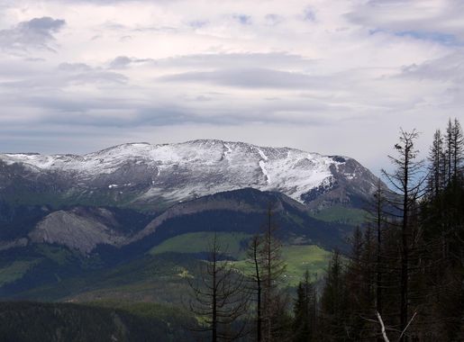 File:White Hajla 2403 m.jpg - Wikimedia Commons