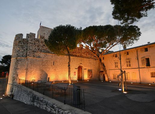 Fichier:Castre Museum (50518971717).jpg — Wikipédia