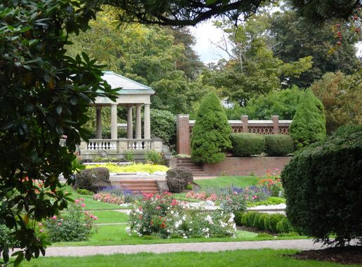 File:Rose Garden at Lynch Park.jpg - Wikimedia Commons