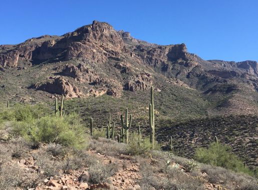 Free Images : nature, outdoor, rock, wilderness, walking, mountain, cactus,  trail, hill, adventure, valley, scenic, soil, ridge, desert landscape,  geology, badlands, plateau, saguaro, ecosystem, arizona desert, southwest,  wadi, landform, natural ...
