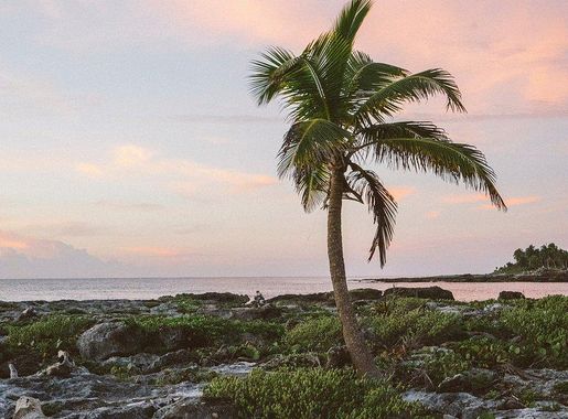 Long Bay Beach, Turks and | Free Photo - rawpixel