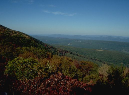 File:View From Dolly Sods.JPG - Wikimedia Commons