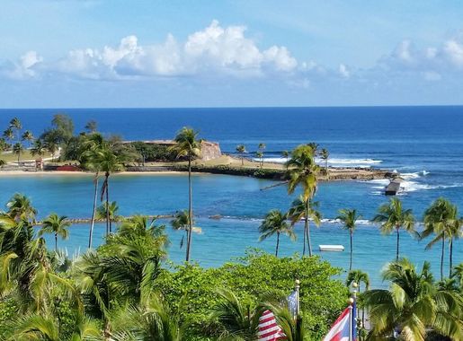 Landscape and shoreline in Puerto Rico image - Free stock photo - Public  Domain photo - CC0 Images