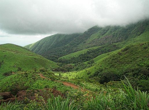 File:Mount Nimba Strict Nature Reserve-123989.jpg - Wikimedia Commons