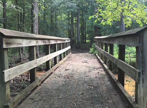 File:Holly Springs National Forest 2018 3.jpg - Wikimedia Commons