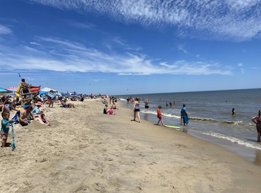 File:Cape Henlopen State Park beach looking north July 2022.jpeg -  Wikimedia Commons