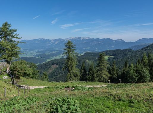 File:Spital aP Sengsengebirge von der Hofalm.jpg - Wikimedia Commons