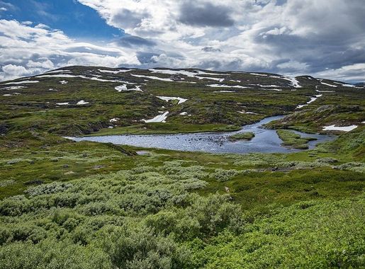 File:Hardangervidda National Park Norway (125348297).jpeg - Wikimedia  Commons