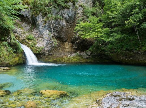 File:Tethi blue eye.jpg - Wikimedia Commons