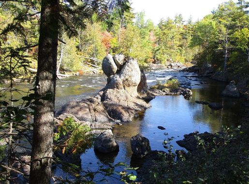 Paleontology of Katahdin Woods and Waters National Monument (U.S. National  Park Service)