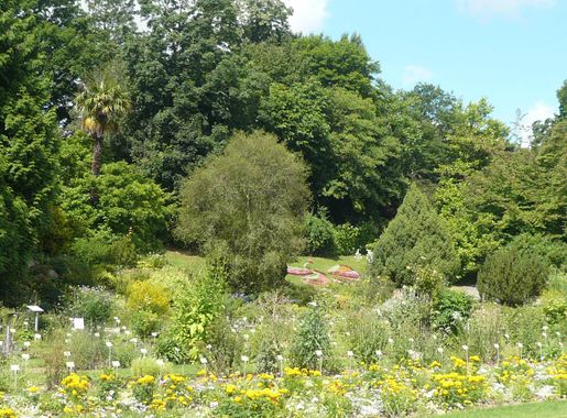 File:P1030229 le jardin des plantes a Caen.JPG - Wikimedia Commons