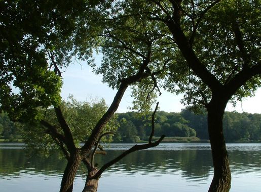 File:Jezioro Rusalka Poznan.jpg - Wikipedia