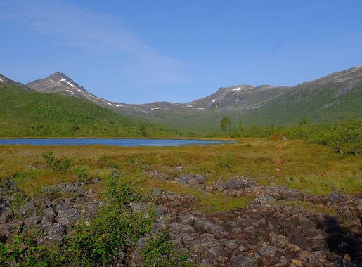 File:A view of Inner Ånderdalen in Ånderdalen National Park.jpg - Wikimedia  Commons
