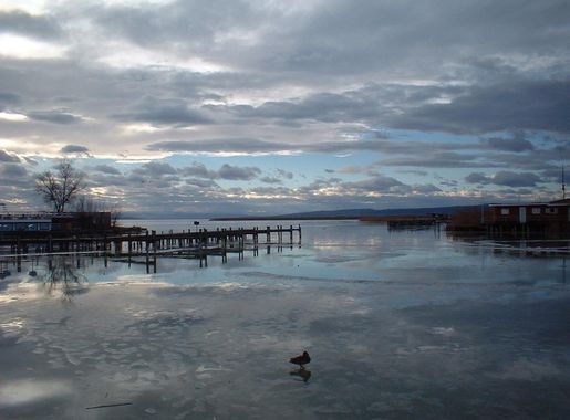 File:Neusiedler See im Winter.jpg - Wikipedia