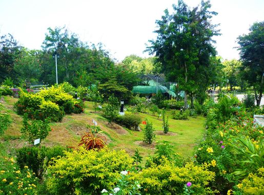 File:Jardin Maria Clara Llobregat (12).JPG - Wikimedia Commons