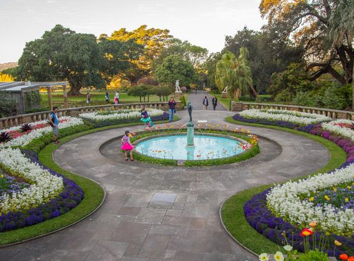 File:2015-09-13 Royal Botanic Gardens, Sydney - 1.jpg - Wikimedia Commons