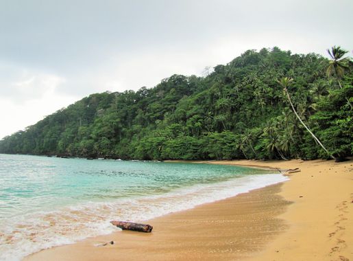 File:Sao Tome Praia Inhame 14 (16247212021).jpg - Wikimedia Commons