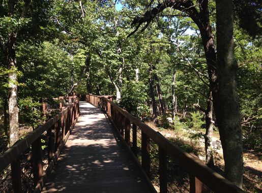 File:Bald Rock boardwalk.JPG - Wikimedia Commons